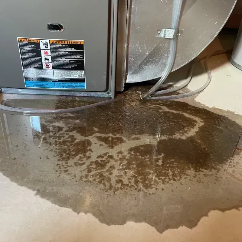 Appliance Leak Cleanup in Lake Villa, IL